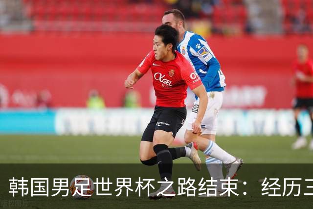 韩国男足世界杯之路结束：经历三天等待，连收七个坏消息